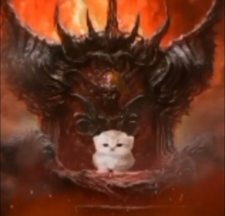 🐈‍⬛
