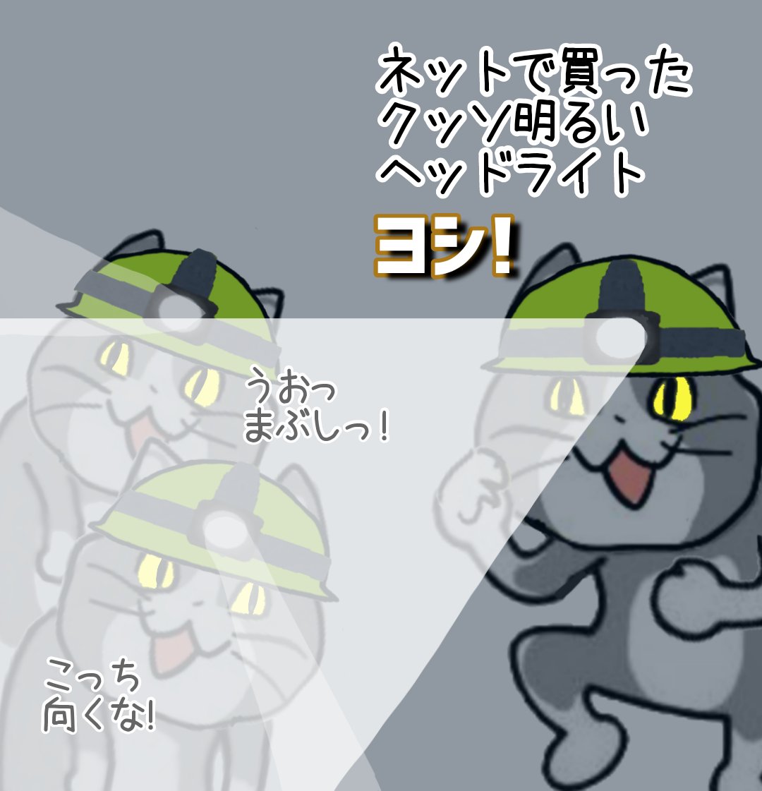 はじめにﾈｺはヘッドライトを購入した。ﾈｺはその光を見て、ヨシとされた