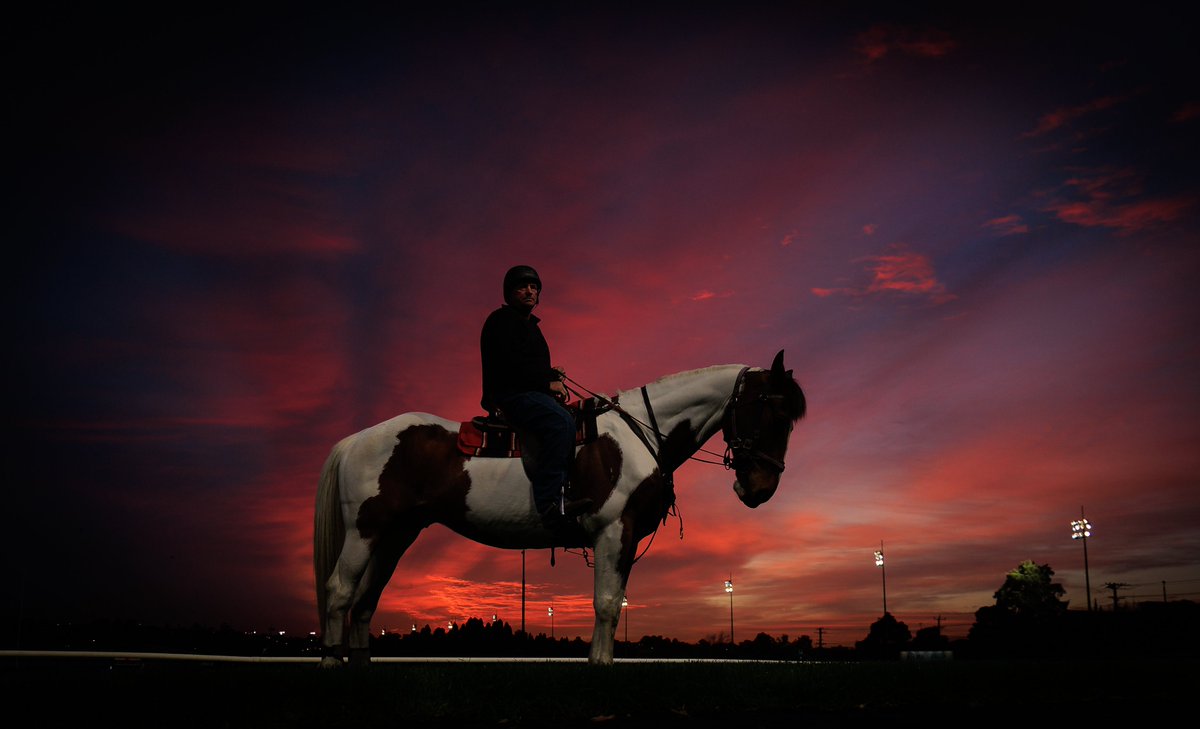 A man and his horse - Patto and Billy at Moonee Valley this morning for Breakfast With The Best. #HorseRacing