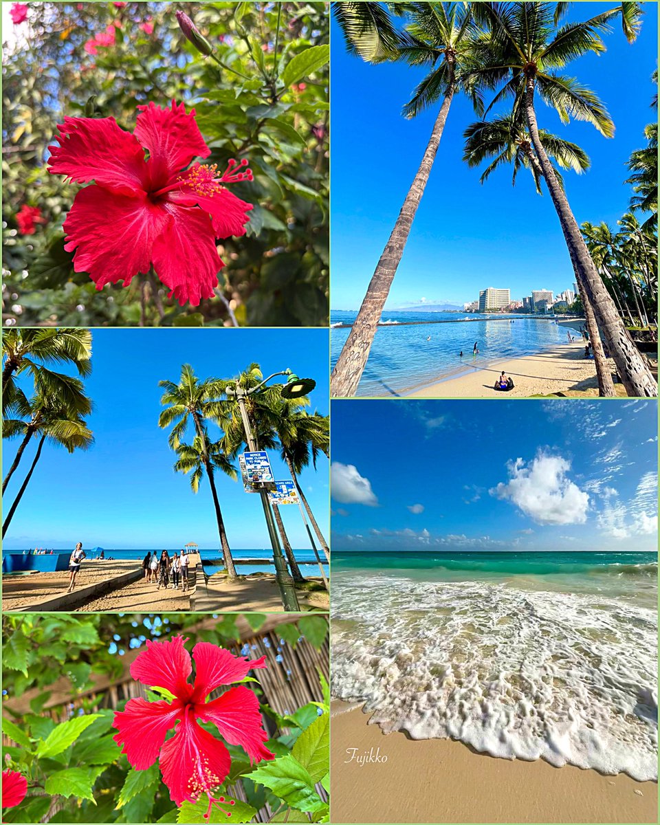 hawaiifujikko's tweet image. 💙Hawai’i
𓏸𓐍𓇥 𝐻𝒶𝓋𝑒 𝒶 𝓌𝑜𝓃𝒹𝑒𝓇𝒻𝓊𝓁 𝒹𝒶𝓎🌺𓈒𓂂𑁍