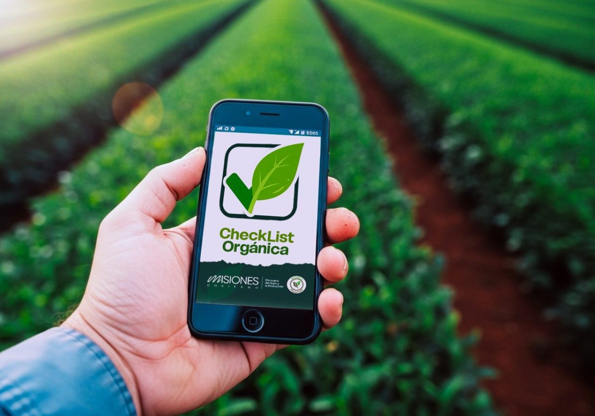 Revista Códigos tweet media