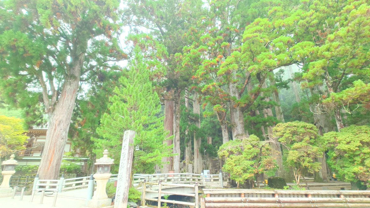 高野山大師堂【公式】 on X