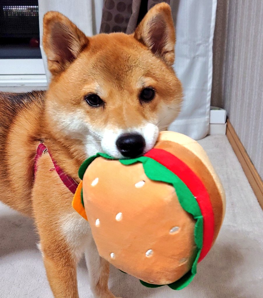 わんじ (@NXtEYuKbD1DCVNk) / Posts / X