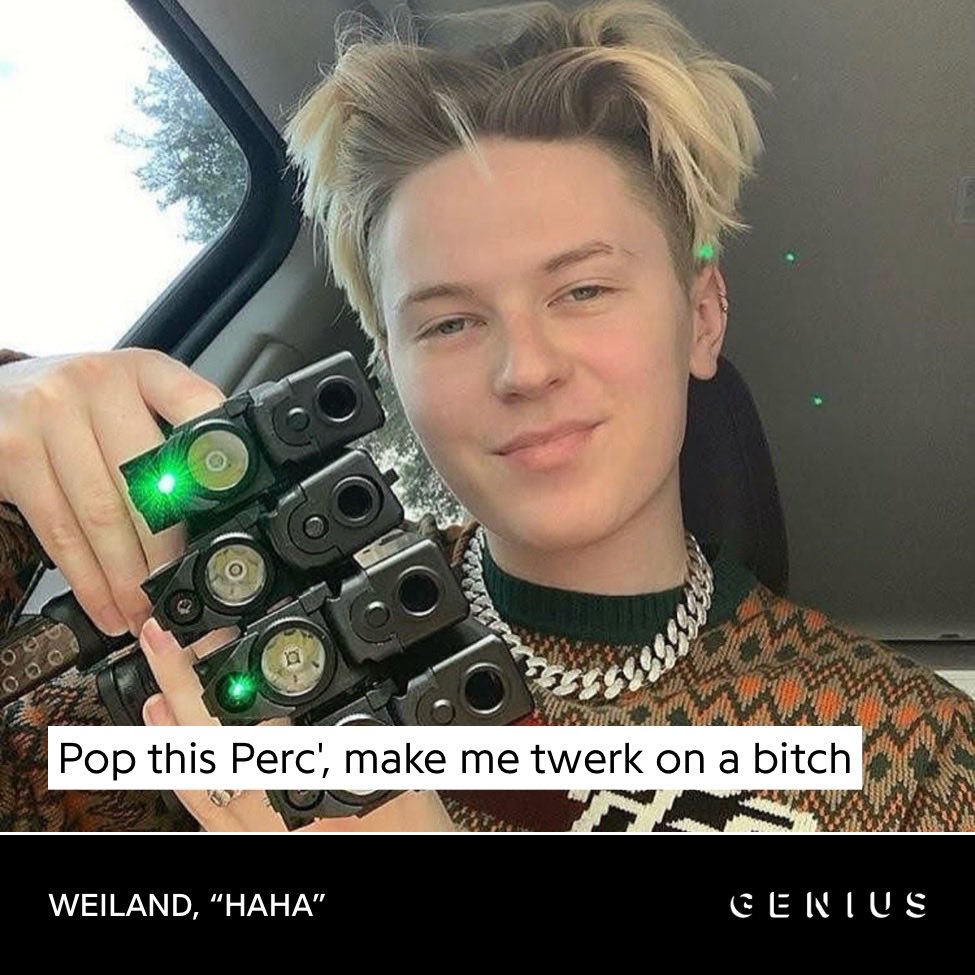 Sophia tweet media