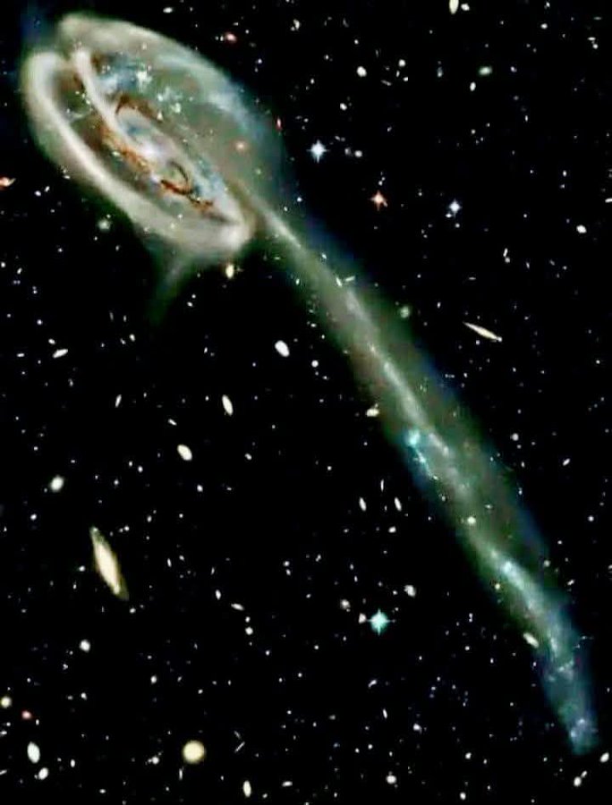 konstructivizm's tweet image. Feast your eyes on a cosmic masterpiece from the Hubble Space Telescope: the dazzling spiral galaxy NGC 4731, twinkling 43 million light-years away in the constellation Virgo! This vibrant snapshot, stitched together using six unique filters, bursts with color, revealing swirling…