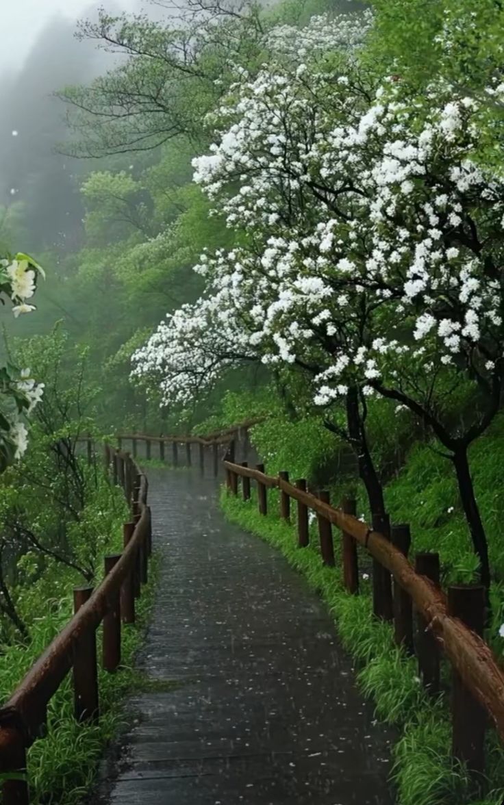 ᅠ ᅠ (@greendreaams) on Twitter photo 