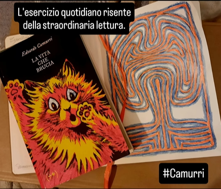 FridaeArtemisia's tweet photo. Labirinti e cipolle fioriscono nel disegno quotidiano, germinati dalla lettura di questo straordinario libro di @EdoardoCamurri !
#EdoardoCamurri #Timeo #LaVitaCheBrucia #libri https://t.co/A15kNyxnMp