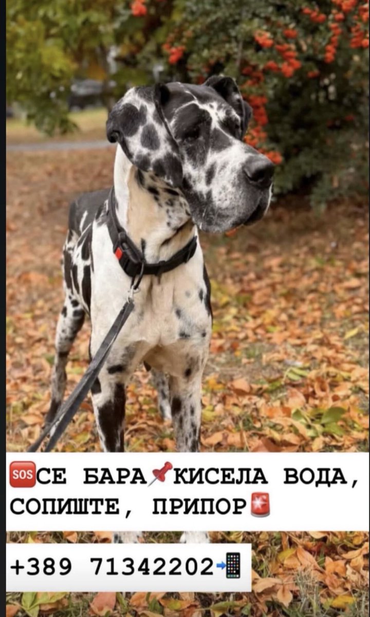 MarincePink's tweet image. Дечки РТ