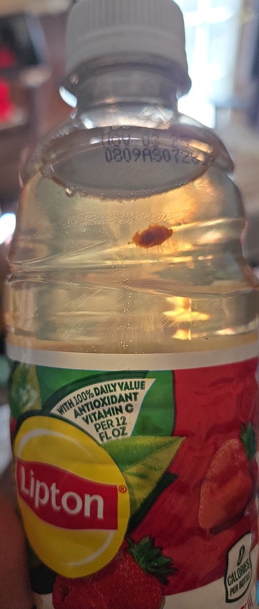 kayroncam's tweet photo. @Lipton what is this inside my green tea? https://t.co/upSSHEO0qX