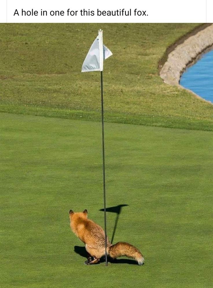 LiLONESMASTER's tweet image. "I acknowledge your opinion and substitute my own"