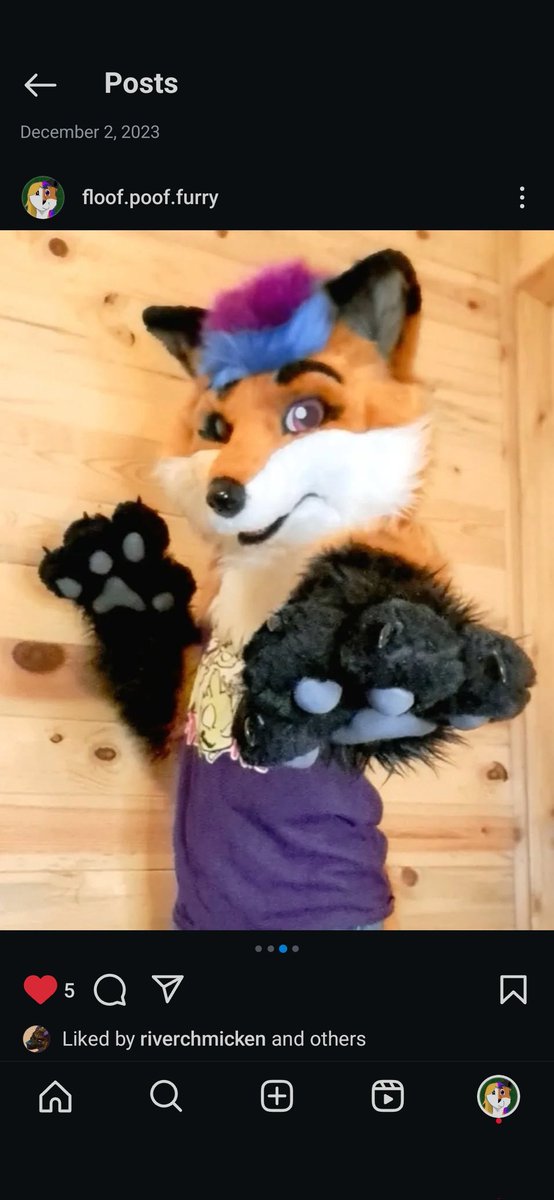 Falona_Fox tweet media