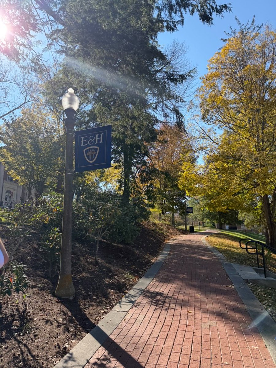 Millie Shelton tweet media