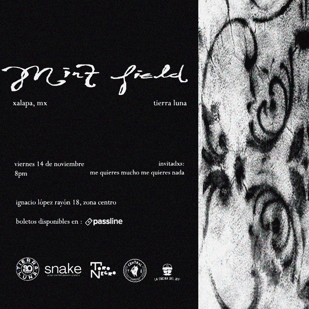 Toro Negro tweet media