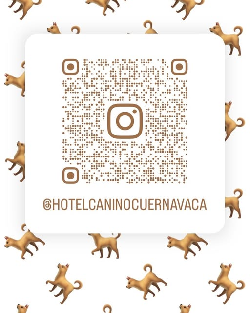 HCaninoCuerna's tweet photo. Síguenos en Instagram #Instagram #amorperros #HCC https://t.co/KgBuhHWA71
