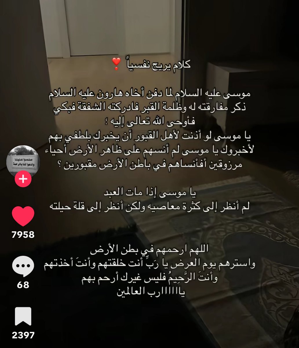 مَيساء | Miysa tweet media