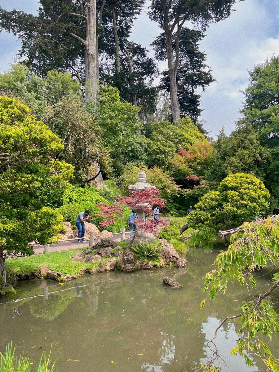 Karen6901's tweet photo. Travel far, breathe deep, and let the forest remind you how small worries really are.
#NatureLover #TravelGram #EarthMood #MindfulTravel #NaturePerfection #SoulJourney #CalmVibes #ExploreTheWorld https://t.co/1MJrLFpFbh
