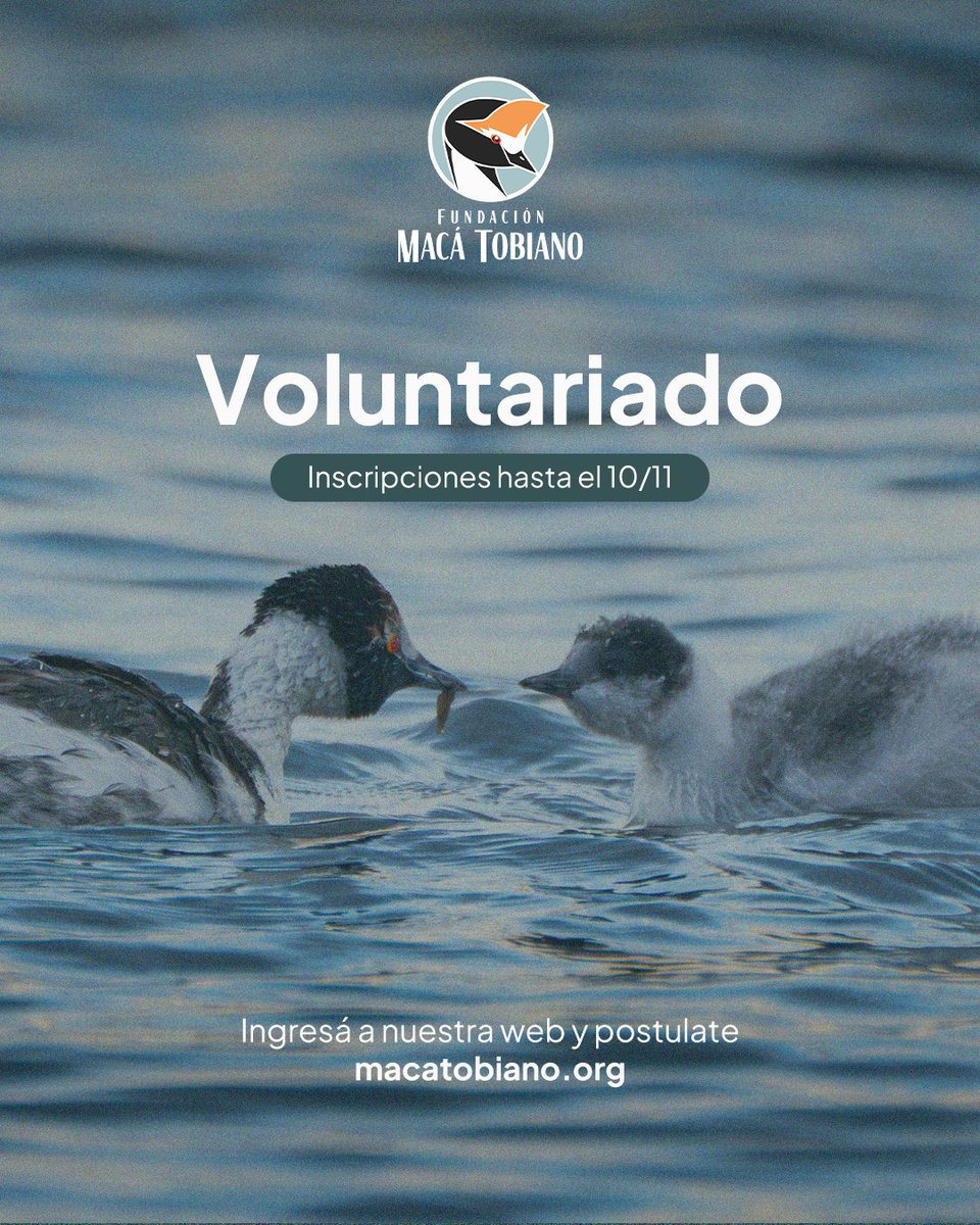 ¡Abrimos la convocatoria al voluntariado de la Temporada 25-26!🤩

Ingresá a nuestra web y postulate, tenés tiempo de hacerlo hasta el 10 de noviembre inclusive.
macatobiano.org/es/sumate/volu…