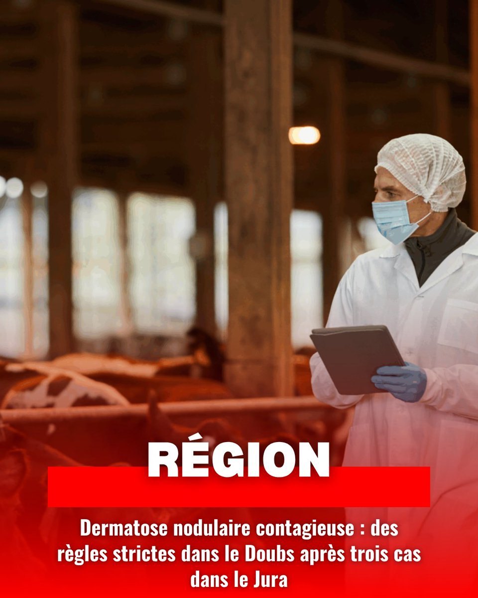 🦠 Alerte dans le Doubs et le Jura : 3 foyers de Dermatose nodulaire contagieuse ont été recensés. Zones strictes, vaccination massive et contrôles renforcés sont mis en place pour limiter la propagation.

➡️ Détails et carte dans notre article :pulse.ly/knadch436j