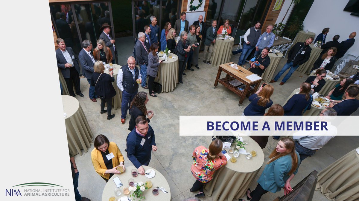 Are you curious about becoming an NIAA member? 
Membership comes with a number of benefits - register for events at discounted rates, influence industry direction, access exclusive content, and more. Learn more here. >> animalagriculture.org/membership/