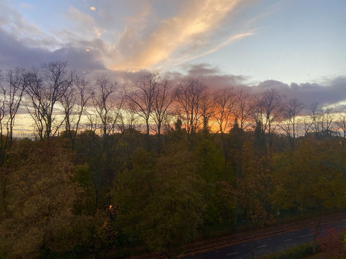 Approaching sunset this evening #treeclub