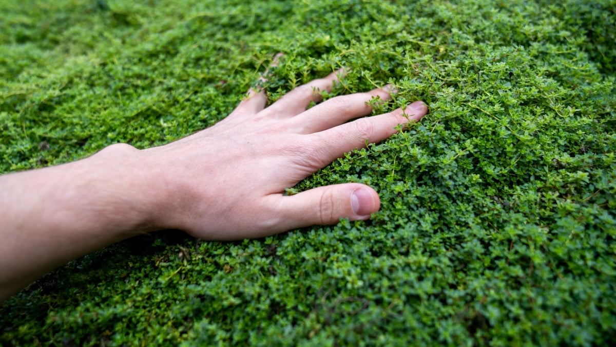 Reap_Wheat's tweet image. Feeling overwhelmed by the digital world? You’re not alone! 🌍💻 This past weekend, a vibrant NYC crowd deleted their social media accounts en masse. It’s time to reclaim our time and sanity! ow.ly/zvnN50Xf538