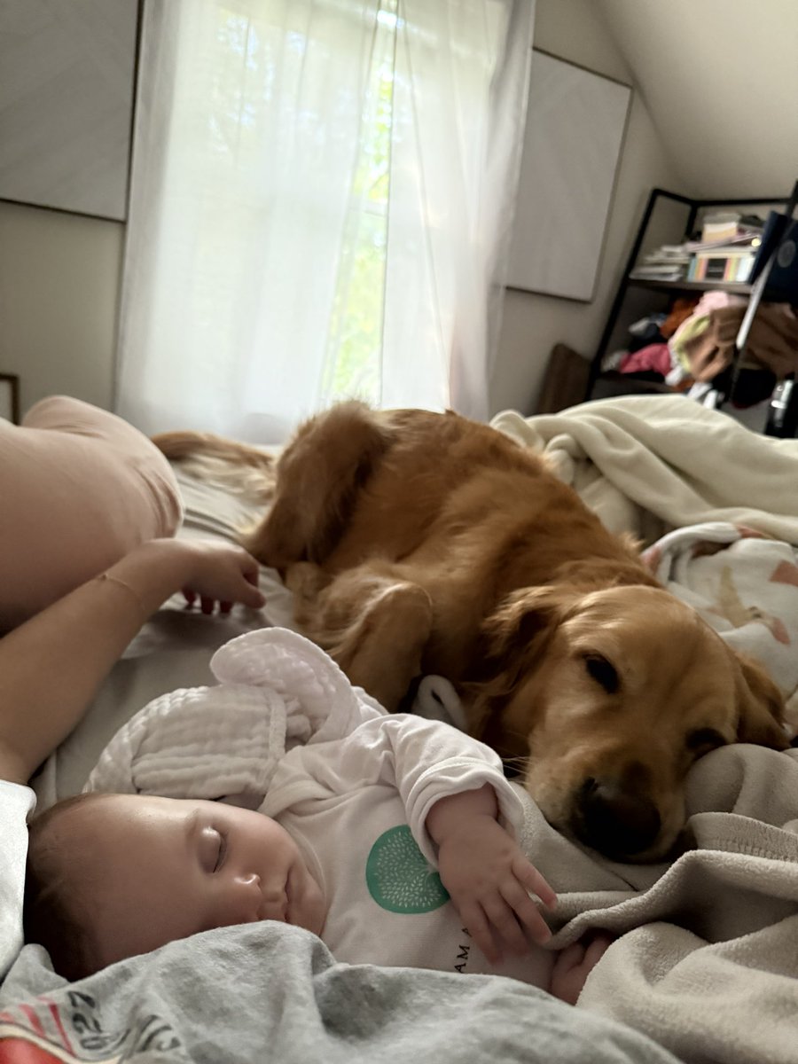 Anybody who works in College Athletics knows what fall feels like. A constant barrage of games, events, and total chaos. It’s fun, but exhausting in ways I can’t explain.

These are the little moments of calm that ground me and remind me “this too shall pass”…best buds!