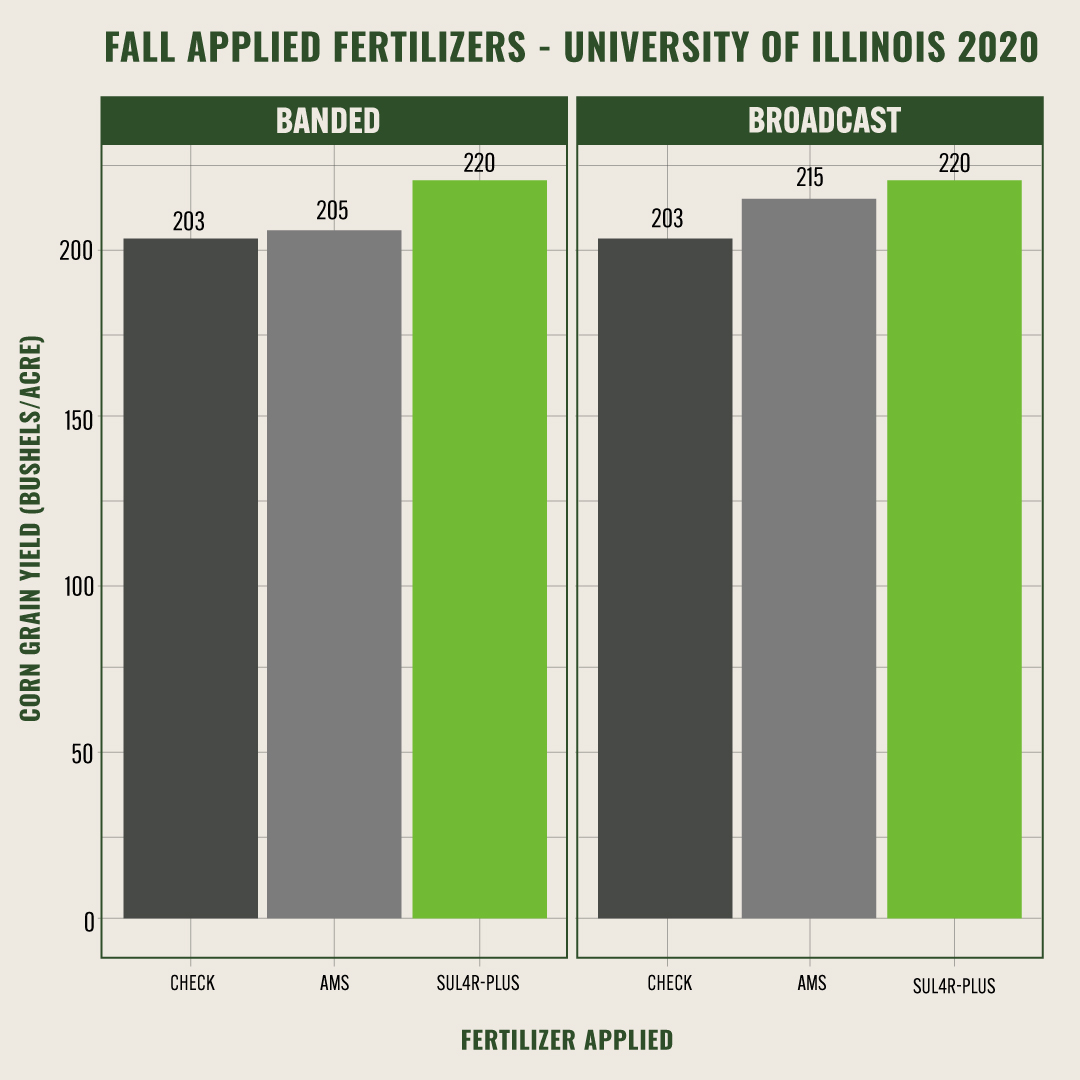 SUL4R-PLUS is the superior sulfur source 💪🏼 Unlike AMS, which is only available for a short time, SUL4R-PLUS delivers season-long availability—boosting corn yields. Recent research shows it outperformed AMS in all application methods. bit.ly/3JaiUnu