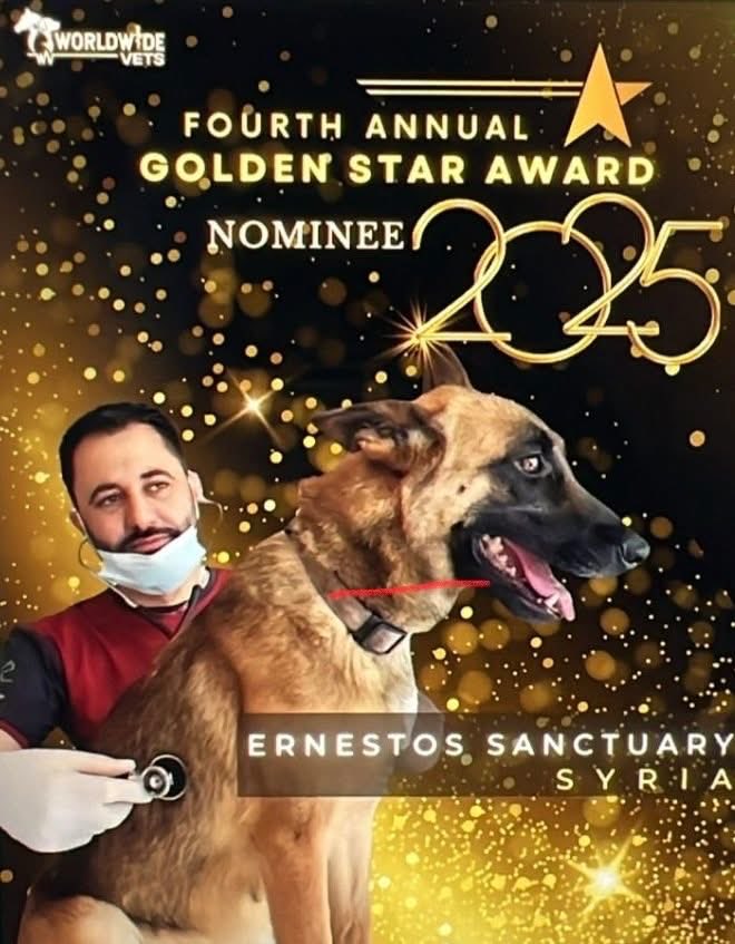 theAleppoCatmen's tweet image. worldwide-vets.org/goldenstaraward

We are delighted to have received nominations for the Worldwide-vets Golden Star Award.
Can you please follow the link, which will allow you to send an email vote for Ernestos?
We have entered for the Vets and the whole team and we so hope you will share…
