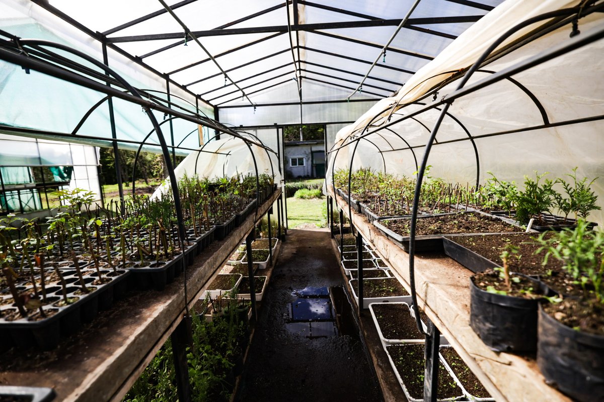 El Bolsón: más recursos y producción local para cuidar el bosque.
El gobernador Weretilneck visitó el vivero de Mallín Ahogado y entregó equipamiento para fortalecer la producción de más de 20.000 plantines destinados a la restauración de zonas afectadas por el fuego.