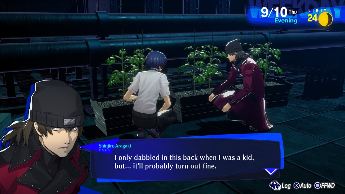🛑 STOP SCROLLING 🛑

You have encountered the Shinjiro toll. 

Please like and share this Shinjiro to pass through.