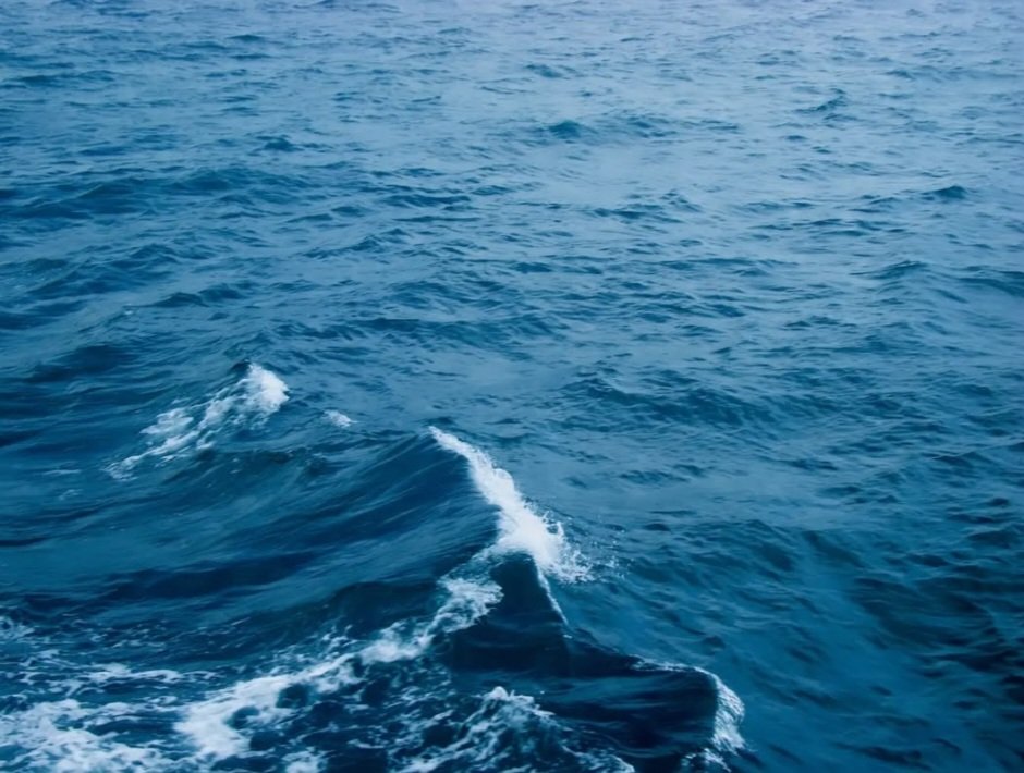 Hatice Kübra (@muhtezir) on Twitter photo 