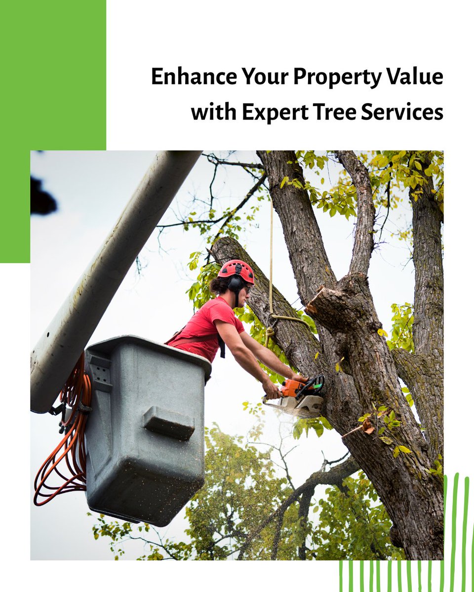 SmithWorksTree's tweet image. Boost your property value by up to 15% with healthy, expertly maintained trees! Trust Smith Works Tree Service for professional care in Nashville &amp;amp; beyond. Enhance beauty, safety, and value—learn more: smithworkstreeservicenashvilletn.com

#PropertyValueBoost #Smit