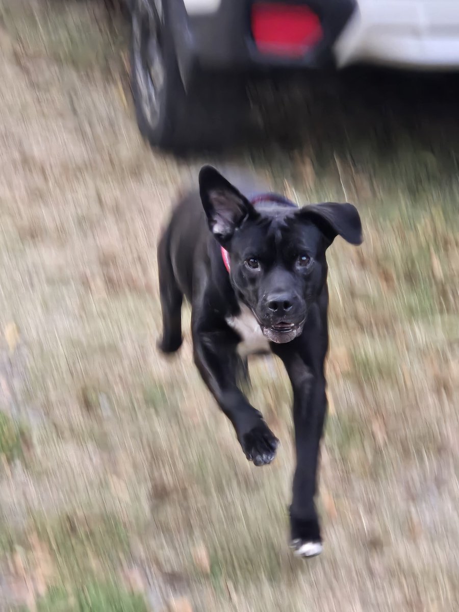 Got an incredible action shot of Theo yesterday!