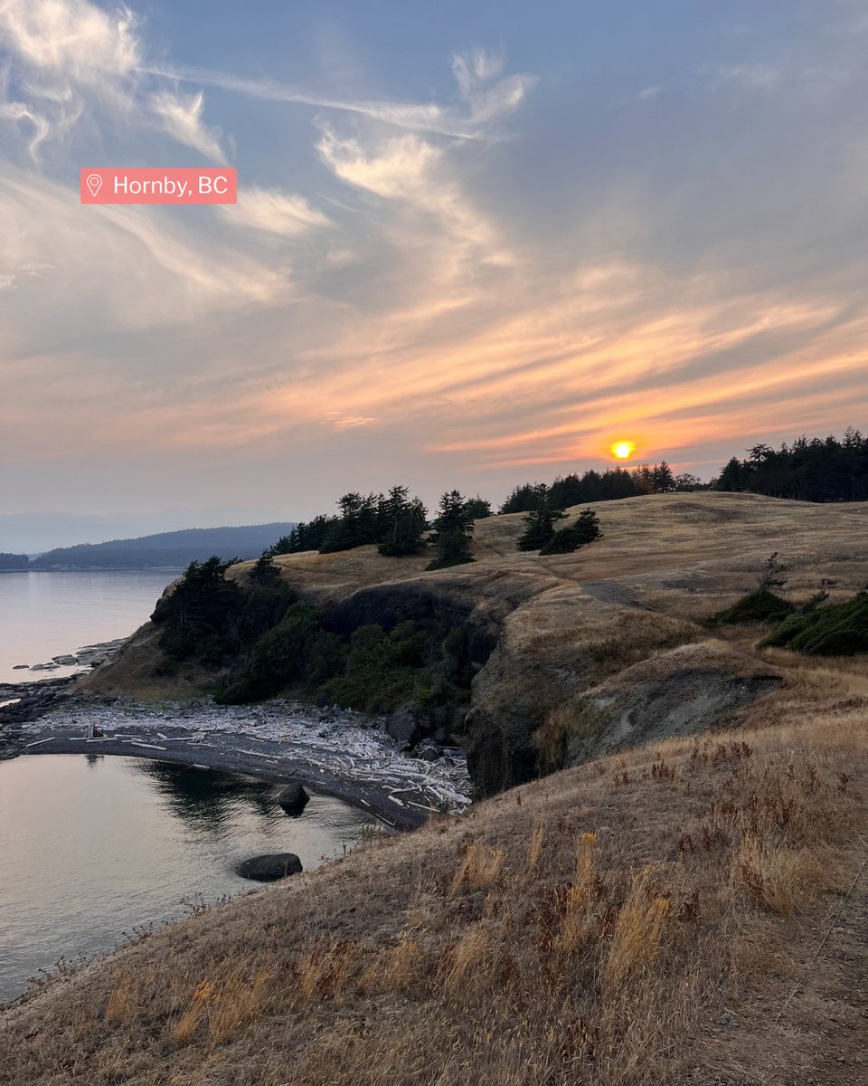 This is Fall on Vancouver Island!

Storm watching begins, hiking is filled with vibrant foliage, the air is crisp and there’s cozy vibes all around.

Experience Vancouver Island this fall! Speak with a recruiter at medstaffrecruitment@islandhealth.ca to find your place.