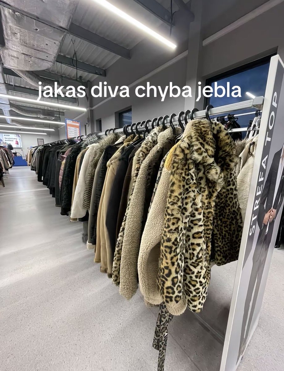 matistch's tweet image. 