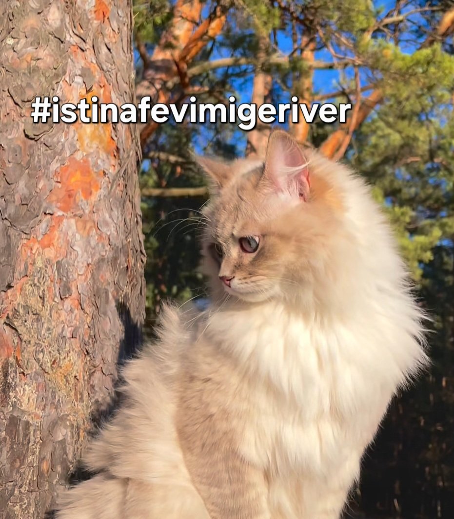 istinafolm22208's tweet photo. Sulh hukuk tahliye etti
İstinaf evimi tutukladı 2 yıl istinaf olur mu?
Bu twitimi goren herkes
" bir kere kopyala yapıştır twit atin nolur. #istinafevimigeriver "
@yilmaztunc
@adalet_bakanlik
@RTErdogan
@gulciftci
@eczozgurozel
@herkesicinCHP https://t.co/DZwSh6Tg3d