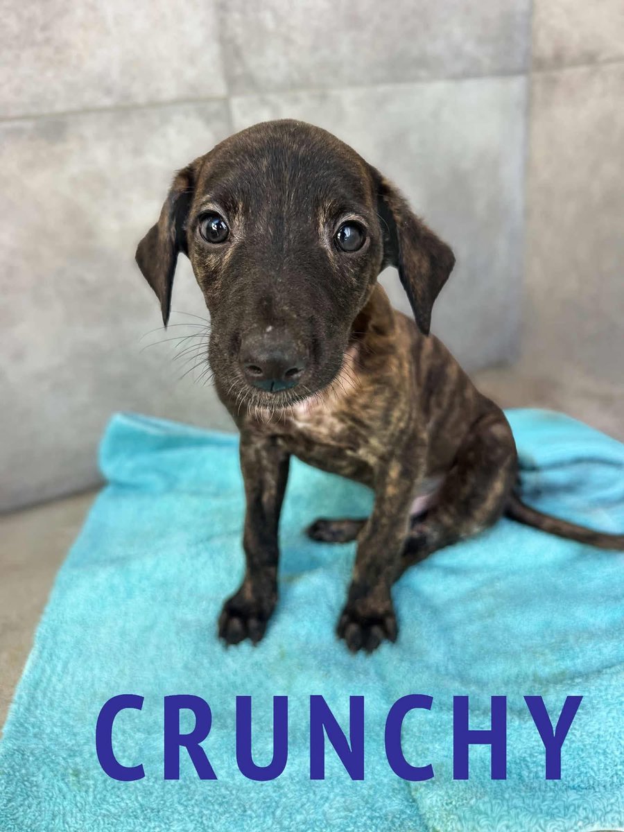 Oh come on… how are we supposed to get any work done???? 😍