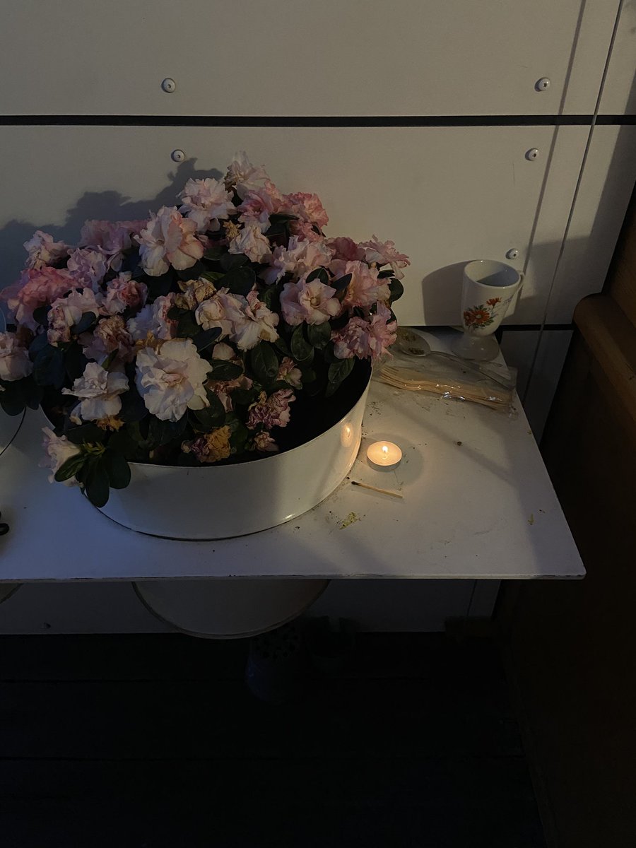 thesapphirebook's tweet image. Postcards from an Indo-French Diwali.