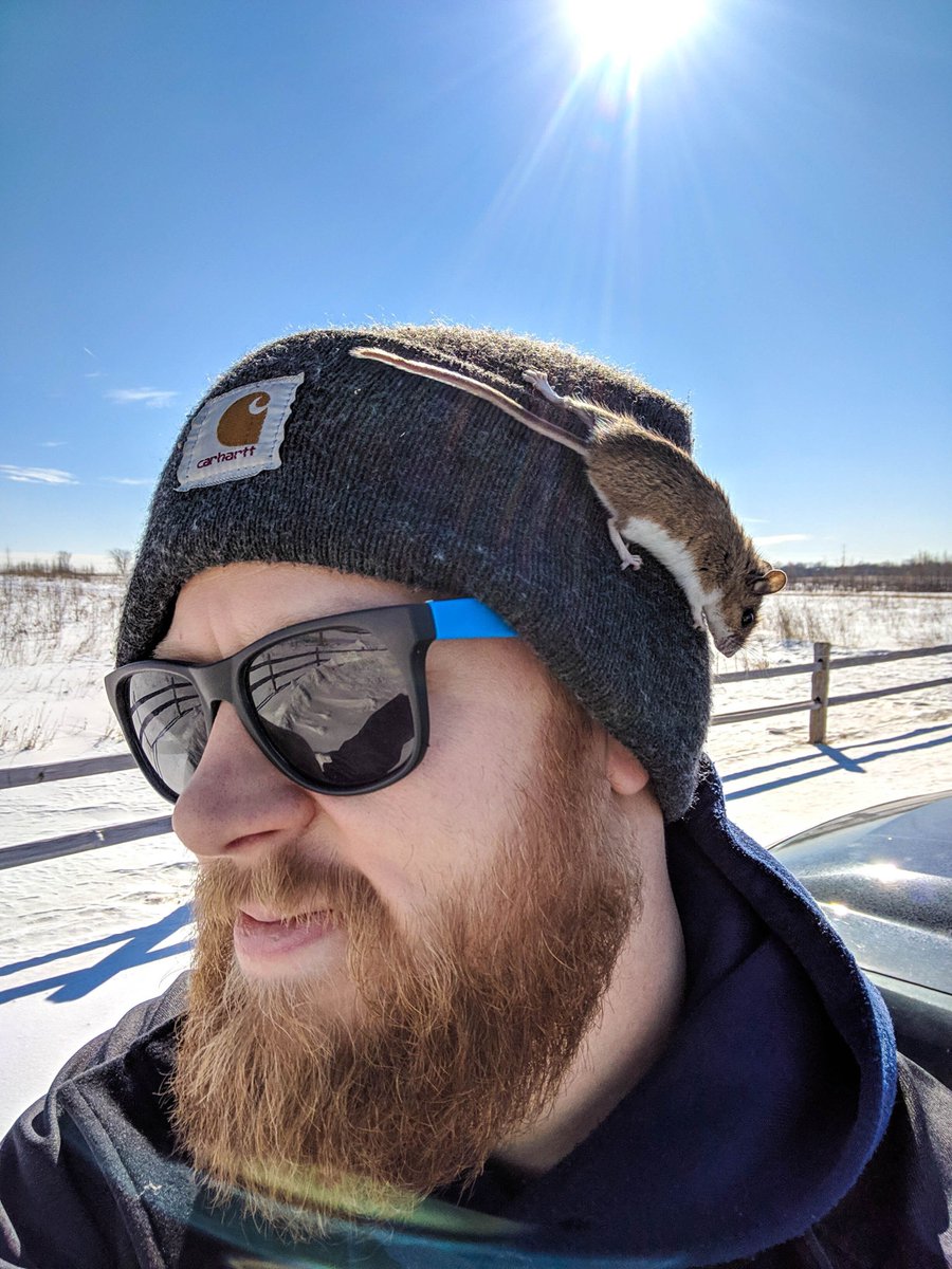 awcmilwaukee's tweet image. Rodent Awareness Week is here! 🏠 Fall is when mice &amp;amp; rats look for warmth indoors — don’t let your home become their winter getaway. Seal entry points, store food securely, and schedule a professional inspection to keep your home rodent-free all season long.
#RodentAwarenessWeek