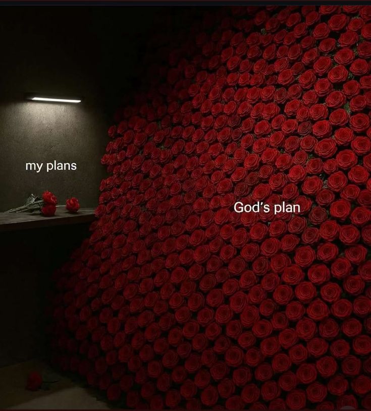 TheRich_Gospel's tweet image. God&apos;s plan, Alwayyyyyyys.