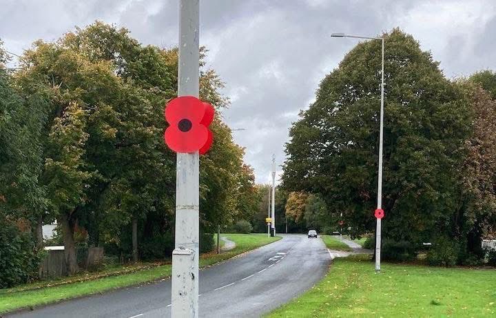 A Labour council has CANCELLED this year's poppy display in Barnsley because "flags have been put on lampposts"

You know what to do folks, let's cover the United Kingdom in them 🌺🫡