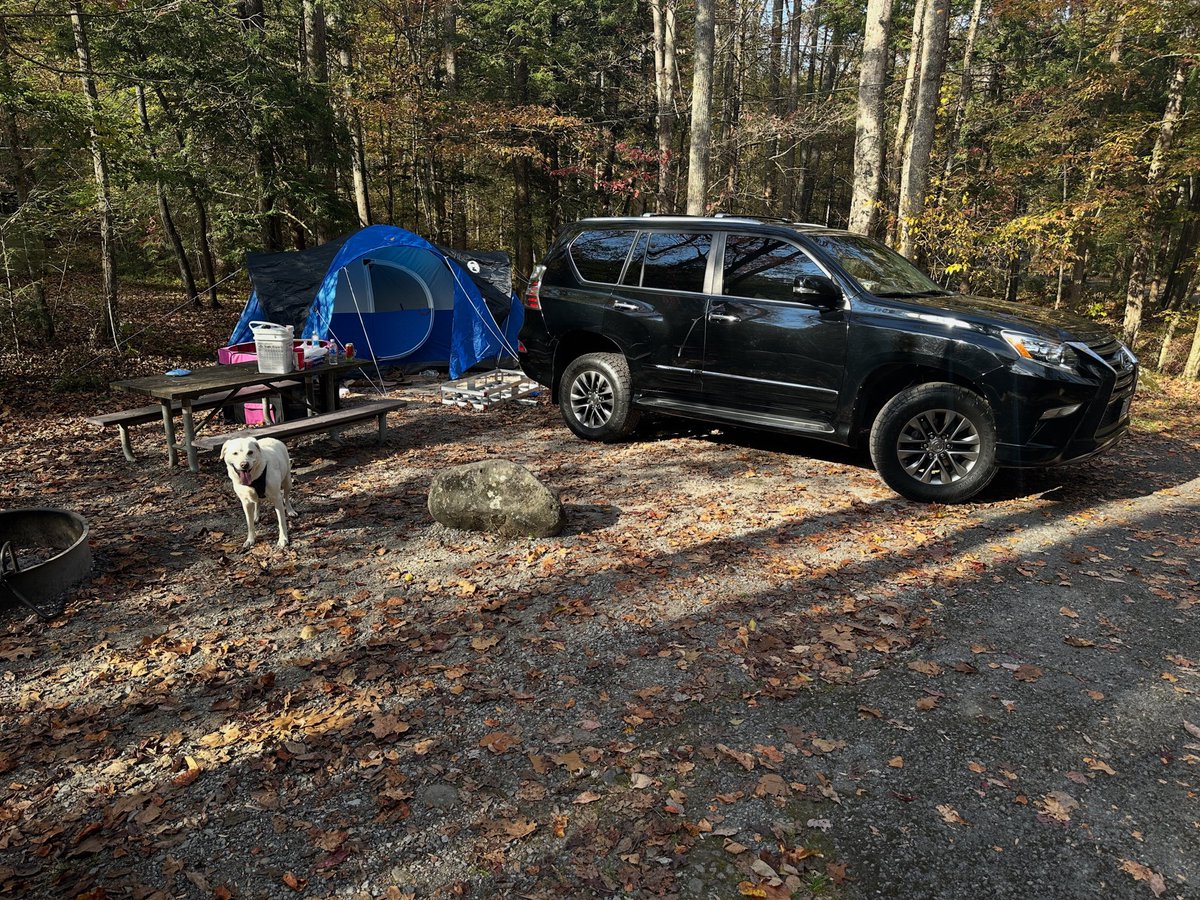 Peter Castle (@petercastle2a) on Twitter photo Sometimes you need to unplug and get away. Sometimes you need to unplug and get away.