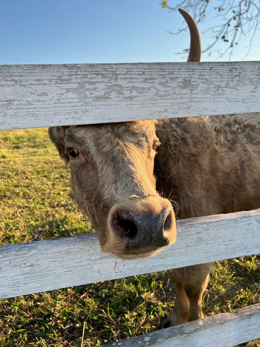 Monday morning drive in to the office at <a href="/AuburnU/">Auburn University</a>
