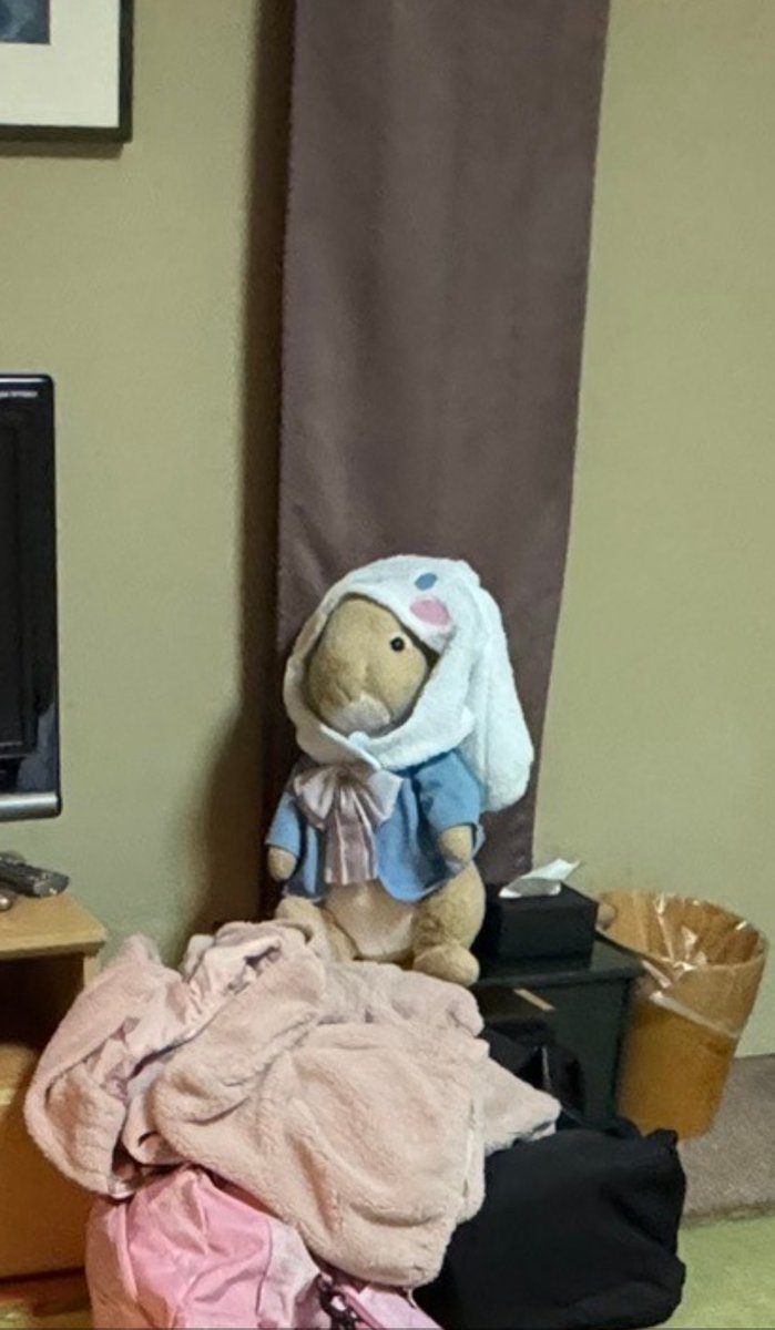 うちゃ（公式） (@ucha__official) / Posts / X