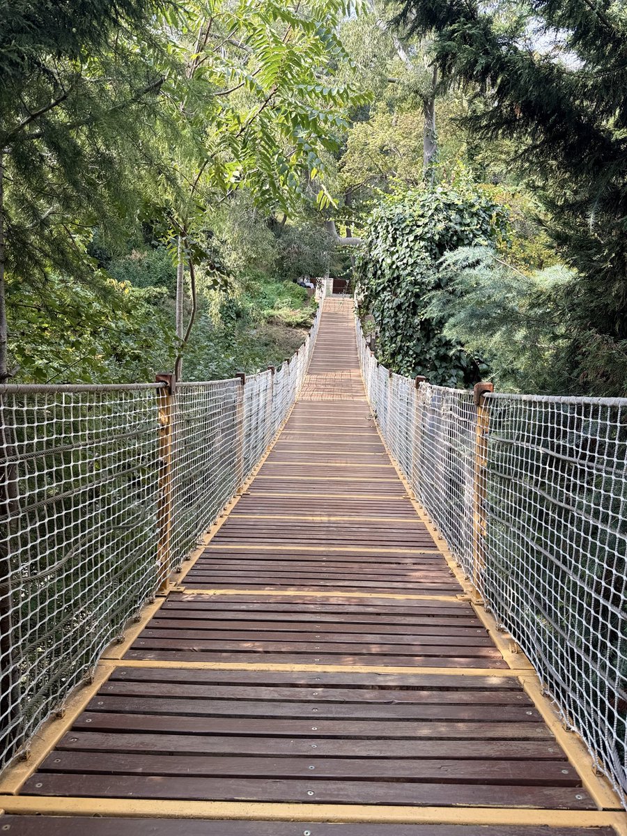 Mid-October 🍂✈️