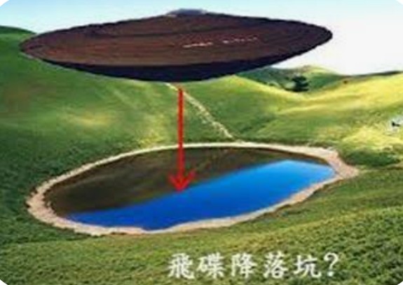 Dusty Bumps (@dusty_bumps) on Twitter photo 