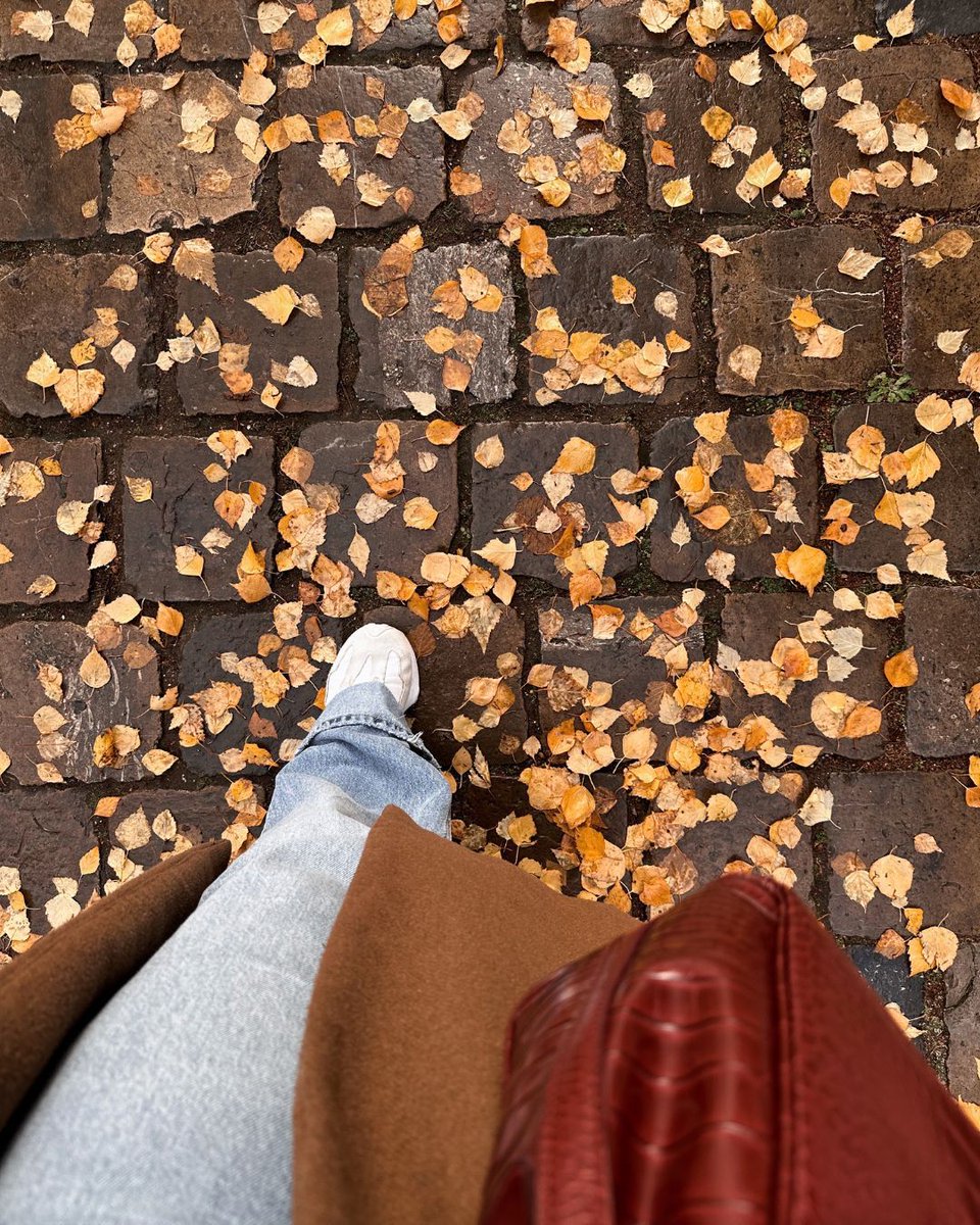 Crisp air, colorful leaves, and long walks—fall is the perfect time to get moving! Don’t let foot or ankle pain keep you from enjoying the season.
👉 Schedule your appointment: facstl.com/request-appoin…

#FallWalks #HealthyFeet #FootPainRelief #FootAndAnkleCare