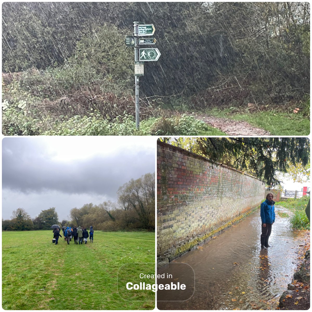 Thom Darby tweet media