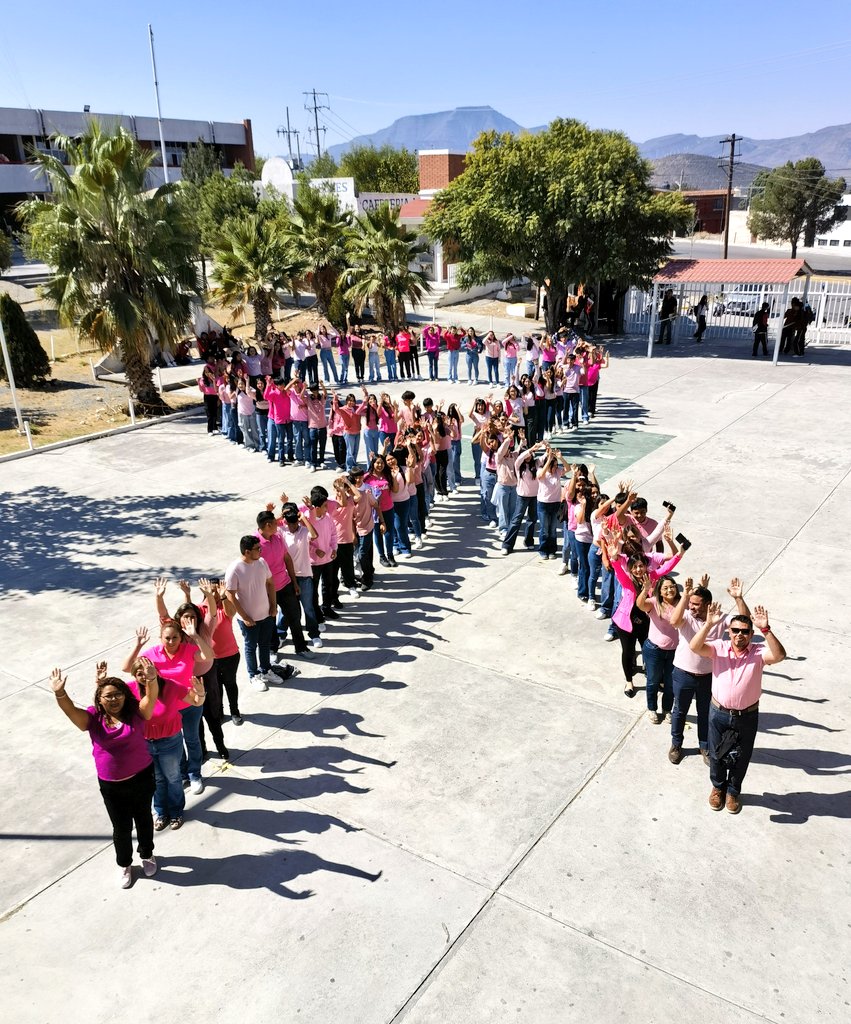 El 20 de octubre se conmemora el Día Mundial de la Concientización sobre el Cáncer de Mama Metastásico, también conocido como Día Rosa o Día de la Conciencia del Cáncer de Mama Metastásico.
