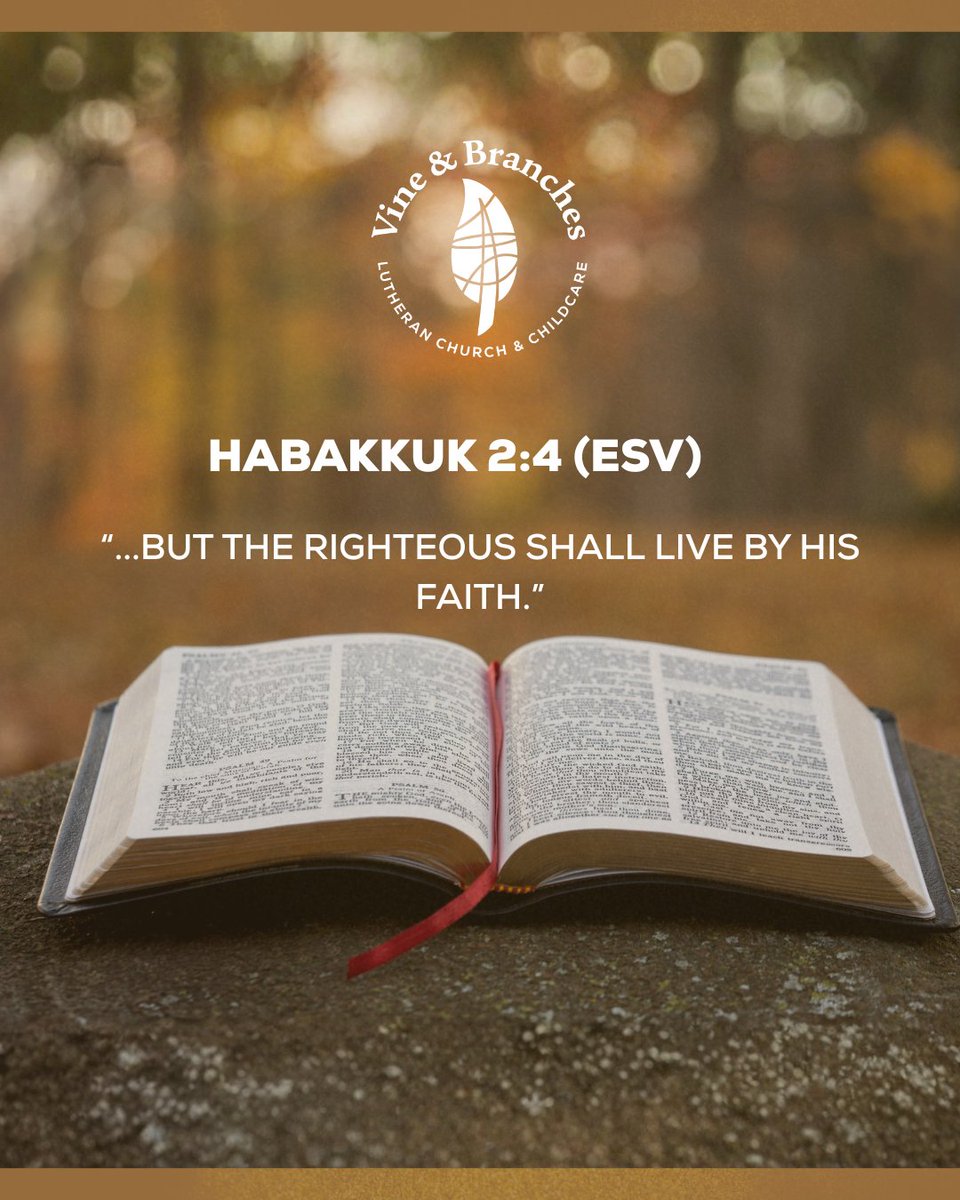 Vine_BranchesLC's tweet image. We invite you to grow in God&apos;s word with us as we memorize our verse of the week - Habakkuk 2:4 ESV

Please join us at Vine &amp;amp; Branches for our Sunday services at 8:30AM (traditional worship) &amp;amp; 10:30AM

#vablc #LCMS #bible #bibleverse #scripture